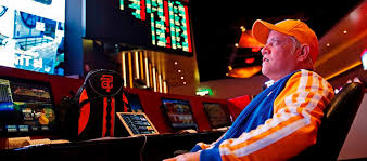 Как войти на сайт BitZamo Casino